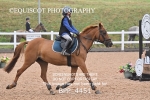 BPP_4451