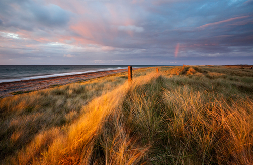 The golden hour living up to its name on this August evening up at the Ayres. Wonderful light combined with brooding…