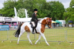 SBM_02474