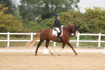 SBM_01634
