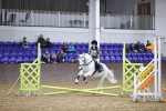 SBM_003211