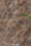 231104A-144803-00909