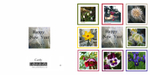 New Year Cards portfolio
