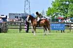 SBM_03845