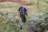 Dunnerdale-801