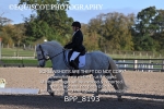 BPP_8193