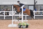 BPP_4729