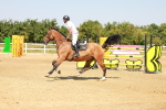 SBM_002183