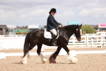 SBM_06209