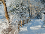 Riverside walk