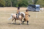 WJ6_9145