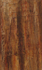 Bark study 2 (1999)