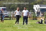 BPP_7013