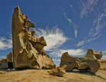 Kangaroo Island to Adelaide portfolio