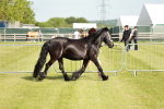SBM_00888