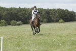 BVHT 140517  NXC -360