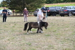 WJ6_7012