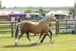 SBM_02051