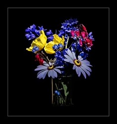 Flowers on Black.