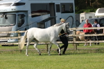 SBM_00796
