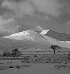 Black mount (4)