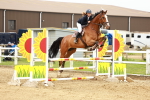 SBM_000908