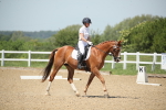 SBM_009479