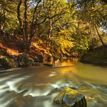 Golden Flow