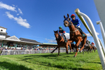 300926-Race 3-Fairydale-7728
