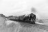 JL - 8.8.21 60163 'Tornado' 1Z69 Carlisle - Hellifield, Greengates