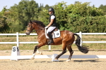 SBM_006799