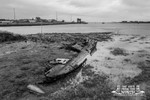 Fleetwood Marsh 8