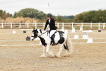 SBM_002724