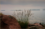 Kotka Katariinan Meripuisto 6