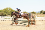 SBM_003955
