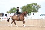 SBM_03368