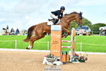 Cls 3 Foxhunter portfolio