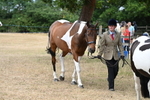 WJ6_7945