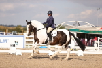 SBM_08039