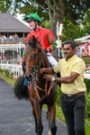 270626-Race 5-My Ballyquinn-5675