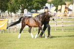 SBM_10382