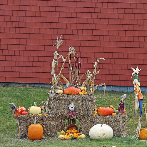 Another creative effort celebrating Thanksgiving and in anticipation of Halloween.
