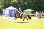 SBM_16353
