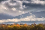 Misty Autumn blues