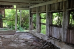 Old Barn Ruins