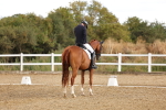 SBM_006299