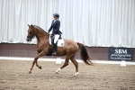 SBM_000221