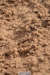 231015A-160534-09225