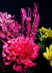 Floral2-5