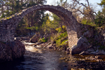 Old Packhorse Bridge, Carrbridge - 4626